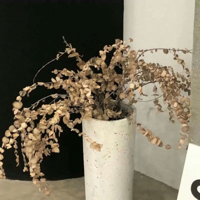 和平福瑞交流群